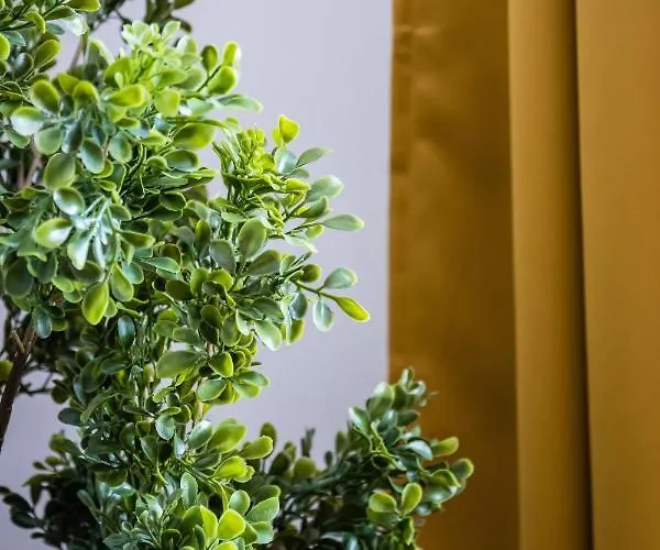 Dajwor Jewish Quarter Wawelofts