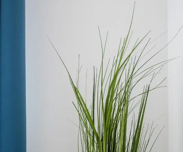 アパート Dajwor Jewish Quarter Wawelofts