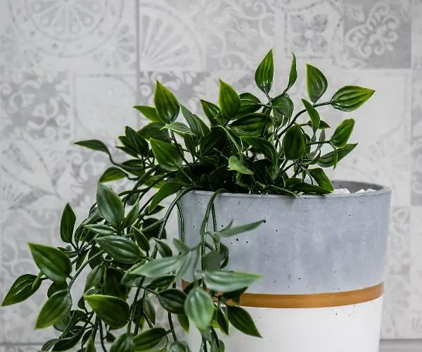 アパート Dajwor Jewish Quarter Wawelofts *